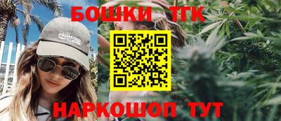 шишки Кандалакша