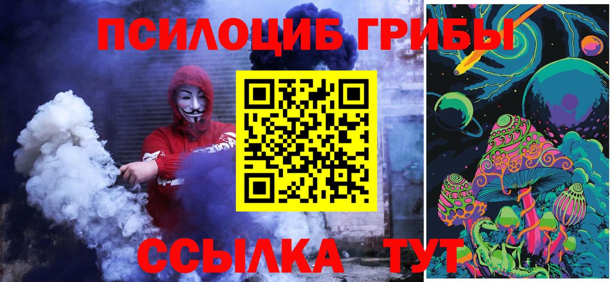 Галлюциногенные грибы Cubensis Лосино-Петровский