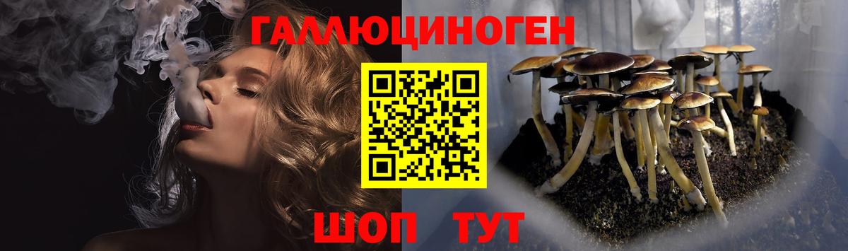 Галлюциногенные грибы Cubensis  Вход с VPN  Галлюциногенные грибы Psilocybine cubensis  Лосино-Петровский 